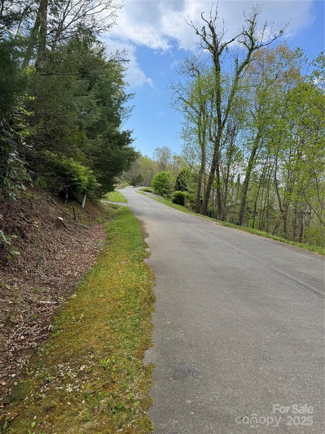 TBD Black Bear Trl Unit 23, Linville, NC 28646 - photo 7