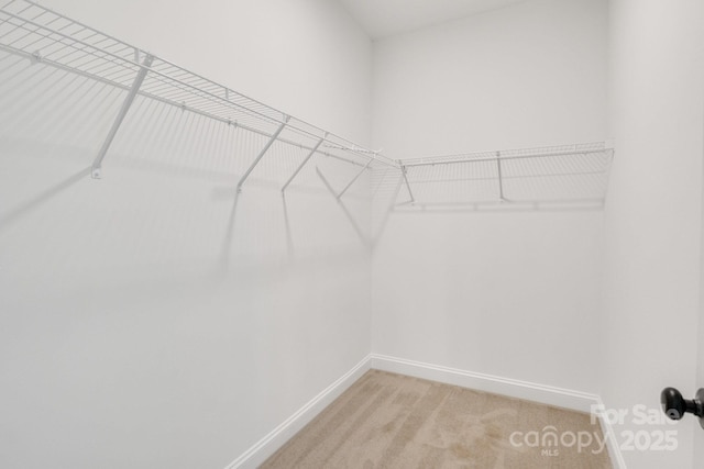 spacious closet featuring light colored carpet