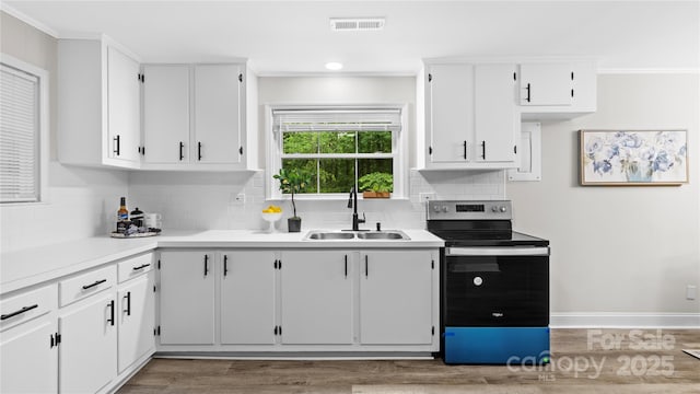 7860 Henry Harris Rd, Fort Mill, SC 29707 - kitchen with electric stove, a sink, crown molding, wood finished floors, and tasteful backsplash