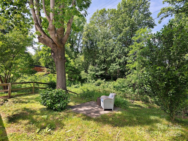 5 Enka Oak St, Candler, NC 28715 - view of yard