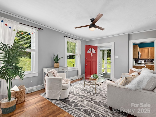 5 Enka Oak St, Candler, NC 28715 - living area featuring wood finished floors, baseboards, ceiling fan, and ornamental molding