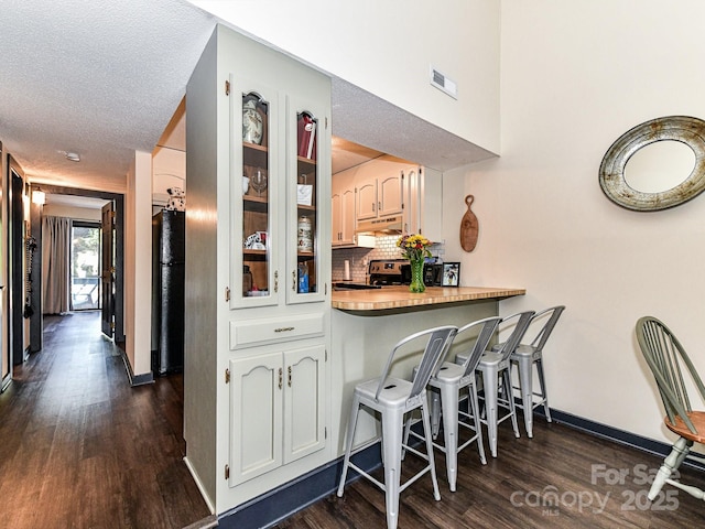 100 Willow Run Dr Unit 26, Gastonia, NC 28056 - bar featuring dark wood-type flooring, under cabinet range hood, stainless steel range with electric stovetop, decorative backsplash, and baseboards