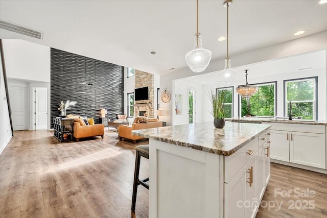 862 Kathy Dianne Dr, Fort Mill, SC 29707 - kitchen featuring light wood finished floors, healthy amount of natural light, a center island, a stone fireplace, and recessed lighting