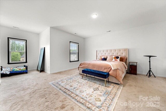 862 Kathy Dianne Dr, Fort Mill, SC 29707 - bedroom with carpet and baseboards