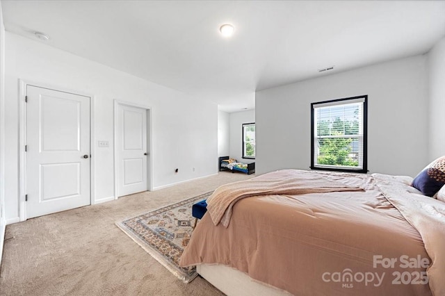 862 Kathy Dianne Dr, Fort Mill, SC 29707 - bedroom with carpet floors and baseboards