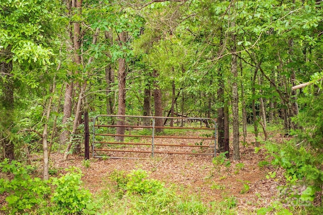 161 Windy Knl, Rutherfordton, NC 28139 - photo 2