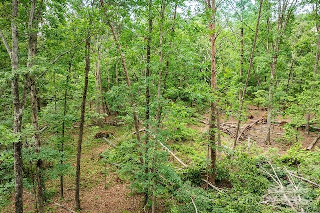161 Windy Knl, Rutherfordton, NC 28139 - photo 8
