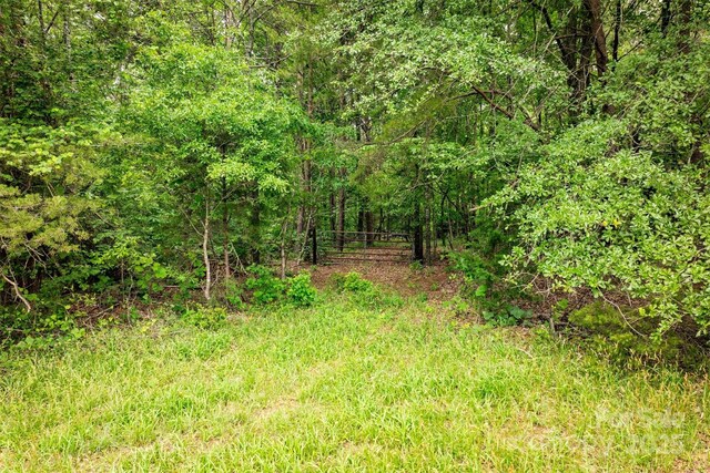 161 Windy Knl, Rutherfordton, NC 28139 - photo 11