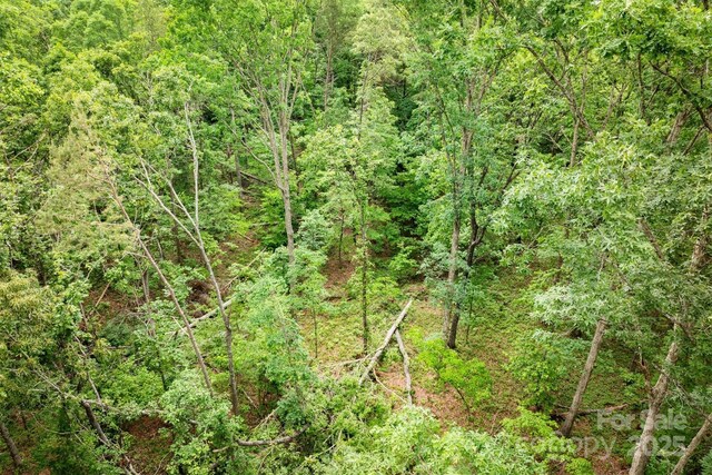 161 Windy Knl, Rutherfordton, NC 28139 - photo 15