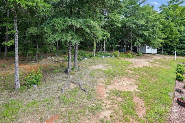 2763 Rivendale Ct, Indian Land, SC 29707 - view of yard with an outdoor structure and a shed