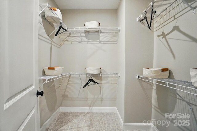 12051 Lavinia Ln, Charlotte, NC 28277 - photo 22