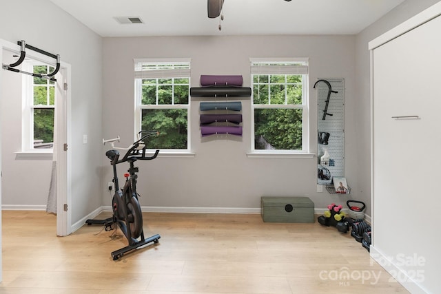 1104 Snowbird Ln, Waxhaw, NC 28173 - exercise room with wood finished floors, plenty of natural light, ceiling fan, and baseboards