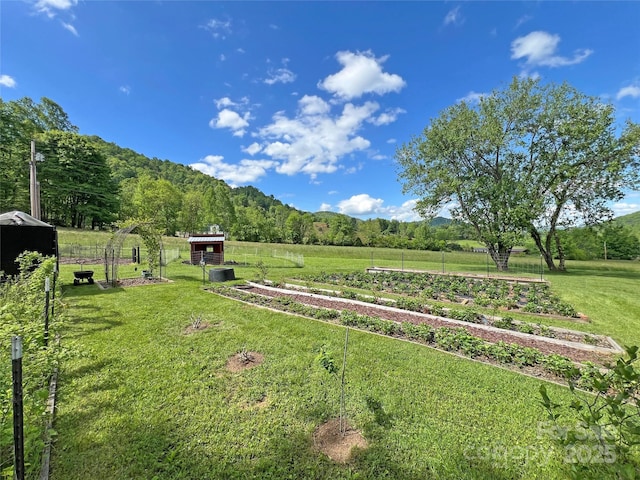 550 Joe Payne Rd, Marshall, NC 28753 - photo 4
