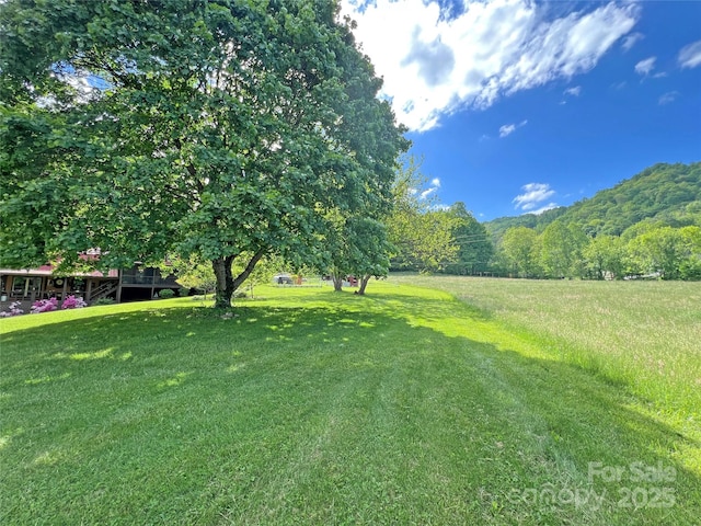 550 Joe Payne Rd, Marshall, NC 28753 - photo 41