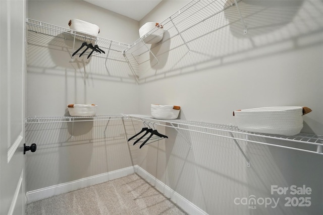 12055 Lavinia Ln, Charlotte, NC 28277 - walk in closet featuring carpet