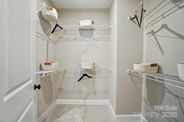 12055 Lavinia Ln, Charlotte, NC 28277 - spacious closet featuring carpet flooring