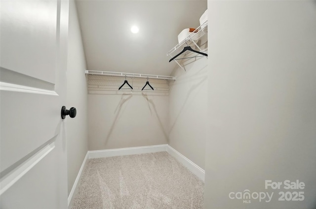 12055 Lavinia Ln, Charlotte, NC 28277 - walk in closet with carpet floors