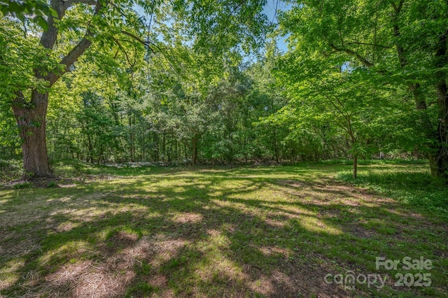 118 Landis St, Forest City, NC 28043 - photo 34
