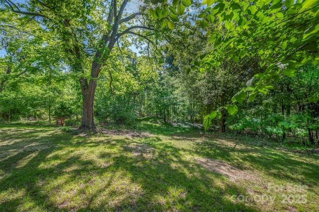 118 Landis St, Forest City, NC 28043 - photo 35