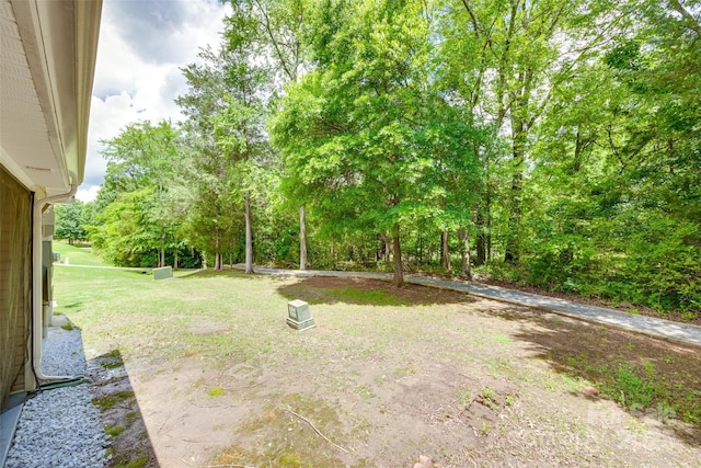 244 River Clay Rd, Fort Mill, SC 29708 - photo 24