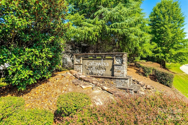 244 River Clay Rd, Fort Mill, SC 29708 - photo 34