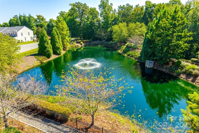 244 River Clay Rd, Fort Mill, SC 29708 - photo 36