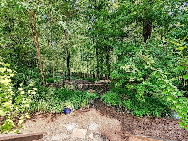 4951 Dayspring Dr, Mint Hill, NC 28227 - view of yard with fence