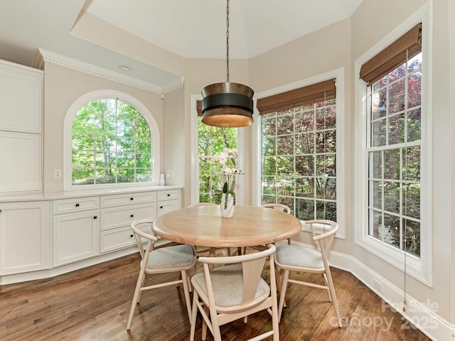 dining room with dark wood-style floors, healthy amount of natural light, and baseboards