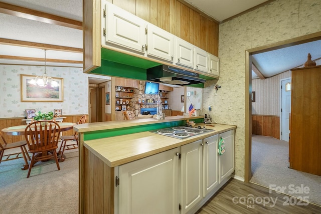 2310 Alexis Lucia Rd, Stanley, NC 28164 - kitchen featuring stainless steel stovetop, wallpapered walls, under cabinet range hood, a wainscoted wall, and light countertops