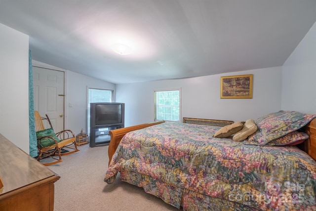 2310 Alexis Lucia Rd, Stanley, NC 28164 - carpeted bedroom with vaulted ceiling