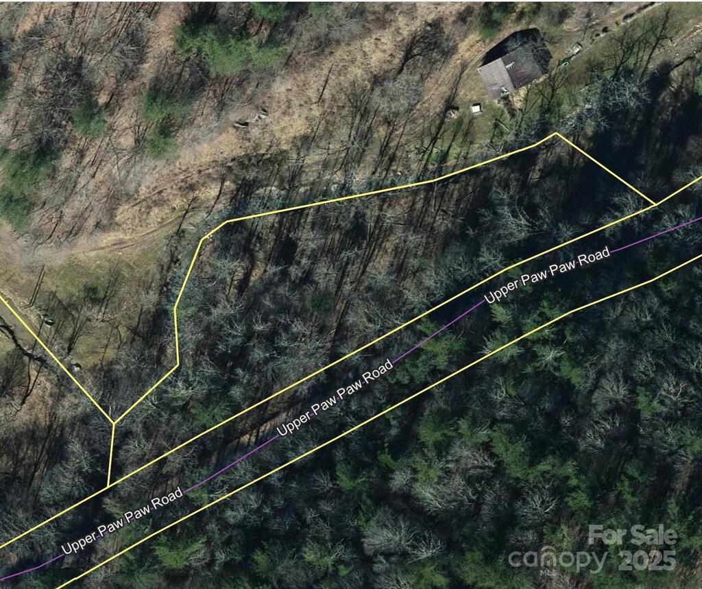 2504 Upper Paw Paw Rd, Marshall, NC 28753 - photo 1