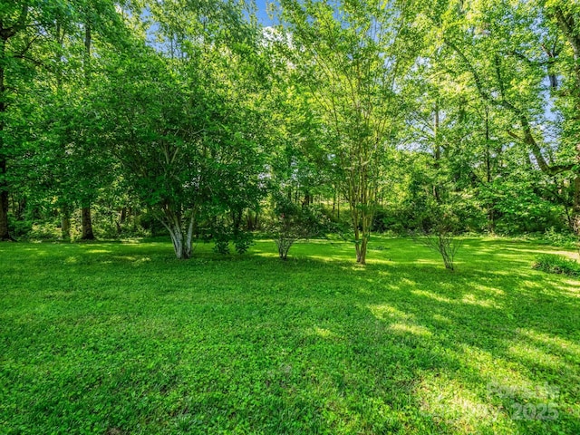 126 Deer Track Ln, Gaffney, SC 29341 - photo 9