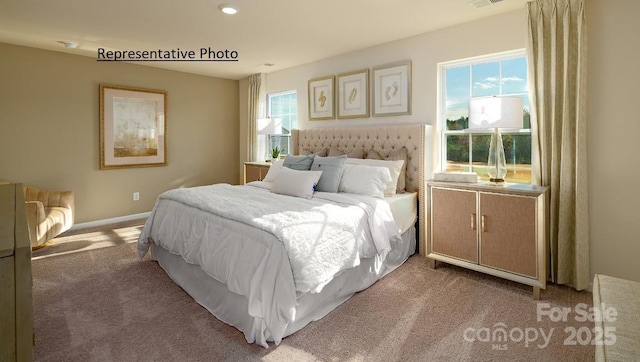 1415 5th Street Dr NE, Hickory, NC 28601 - bedroom featuring carpet floors and baseboards