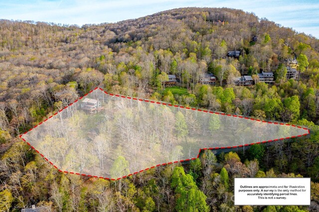 1303 Homestead Rd, Todd, NC 28684 - photo 17