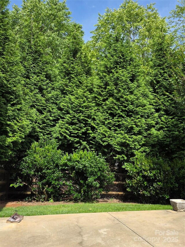 6017 Lowergate Dr, Waxhaw, NC 28173 - view of patio / terrace
