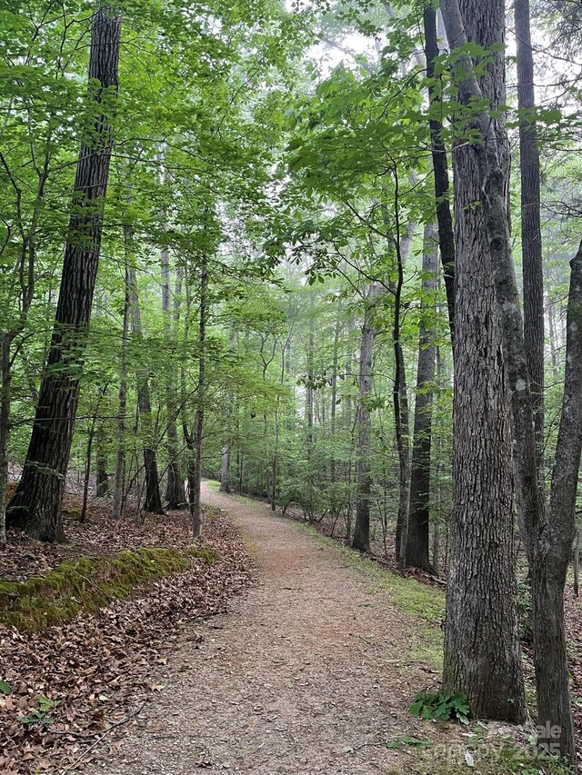 6017 Lowergate Dr, Waxhaw, NC 28173 - view of street featuring a wooded view