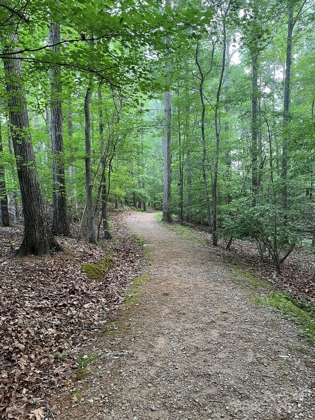 6017 Lowergate Dr, Waxhaw, NC 28173 - view of street with a wooded view