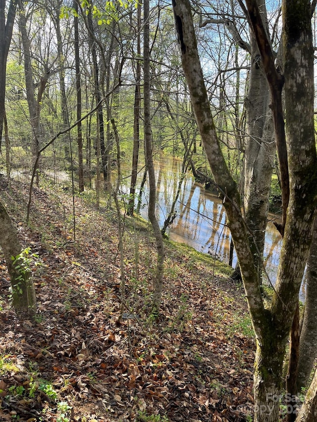6017 Lowergate Dr, Waxhaw, NC 28173 - water view