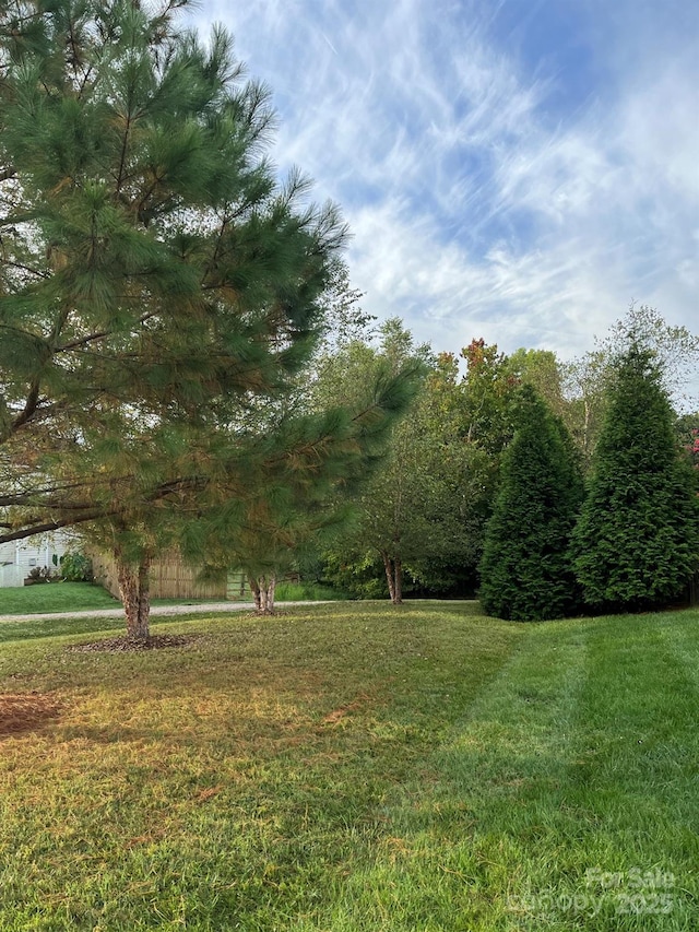 6017 Lowergate Dr, Waxhaw, NC 28173 - view of grassy yard
