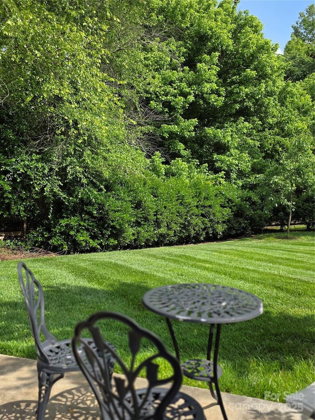 6017 Lowergate Dr, Waxhaw, NC 28173 - view of green lawn