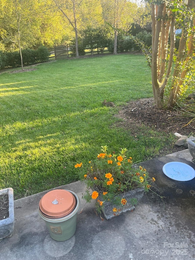 6017 Lowergate Dr, Waxhaw, NC 28173 - view of yard
