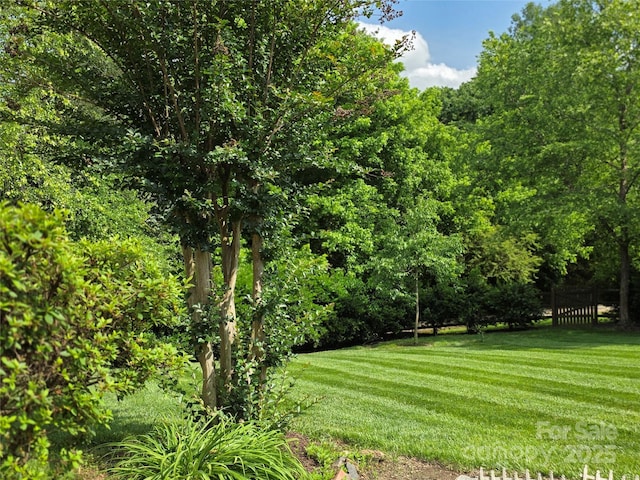 6017 Lowergate Dr, Waxhaw, NC 28173 - view of yard