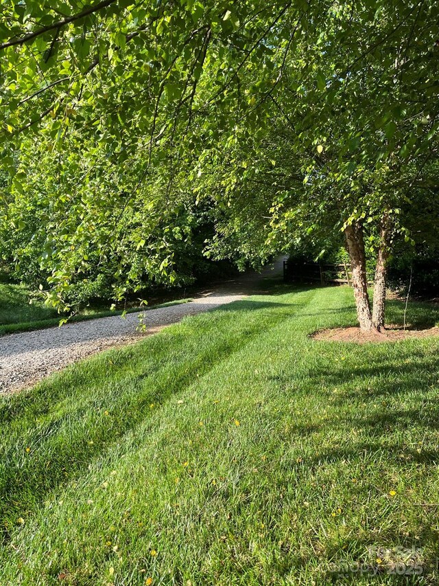 6017 Lowergate Dr, Waxhaw, NC 28173 - view of green lawn