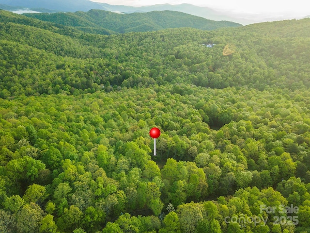 28 Burgin Ridge Rd, Black Mountain, NC 28711