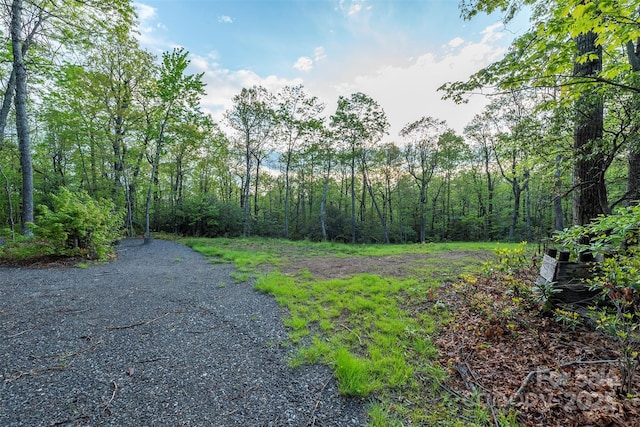 28 Burgin Ridge Rd, Black Mountain, NC 28711