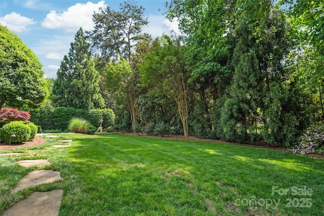 18843 Flat Shoals Dr, Cornelius, NC 28031 - view of green lawn
