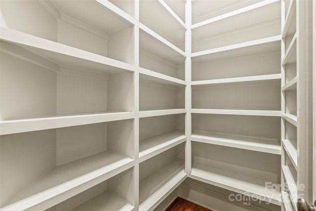 18843 Flat Shoals Dr, Cornelius, NC 28031 - view of pantry