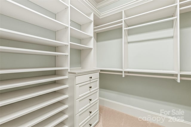 18843 Flat Shoals Dr, Cornelius, NC 28031 - walk in closet with carpet floors