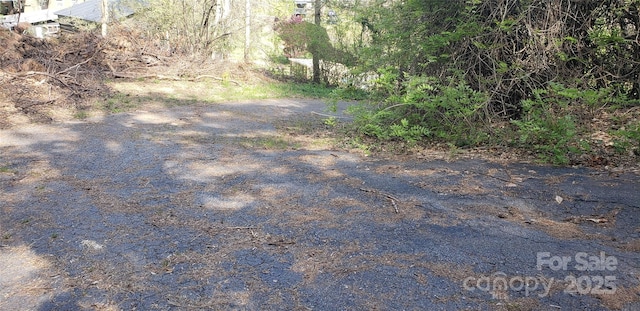 31 Samuel Ln, Candler, NC 28715 - view of road