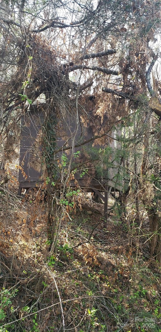 31 Samuel Ln, Candler, NC 28715 - view of local wilderness